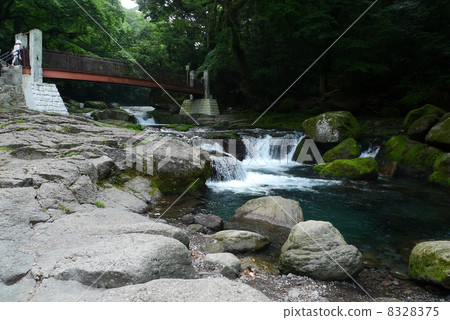 Kikuchi Gorge 8328375