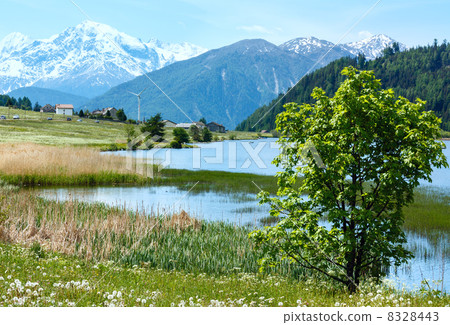 Summer mountain landscape with lake (Italy) 8328443