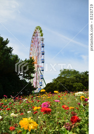 Flower Garden 8328719