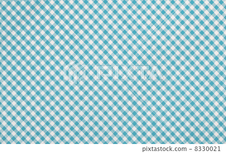 blue checkered fabric 8330021