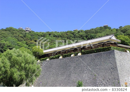 Matsuyama Castle 8330824