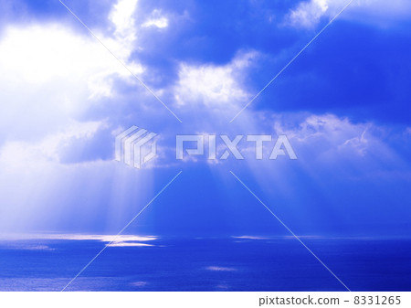 light light 8331265