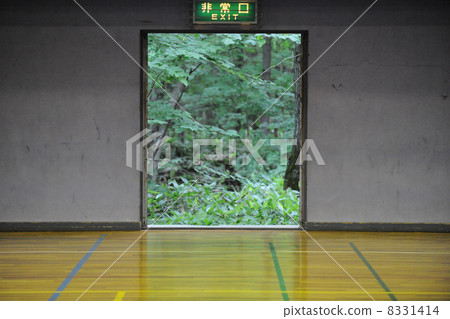 Exit at gymnasium 8331414