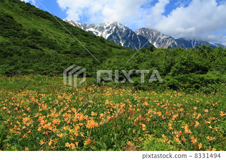 北海道白馬山脈和Happoone·Goryu 8331494
