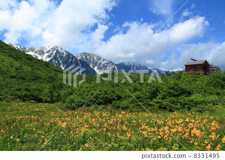 Hokkaido Hakuba mountain range and Happoone · Goryu 8331495