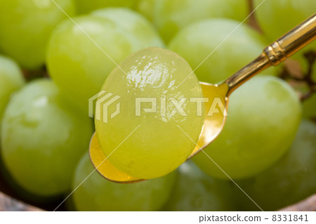 Muscat of Alexandria 8331841