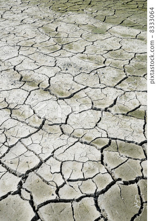 Dried rice field 8333064