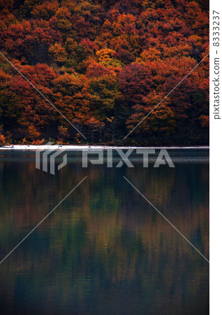 Naruko·湖秋葉 8333237