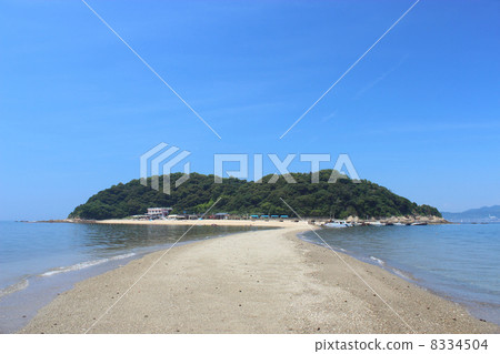 Mikawa Oshima 8334504