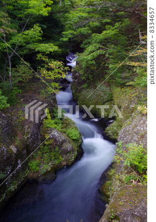 Mountain stream 8334657