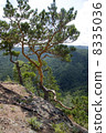 Summer  landscape. 8335036