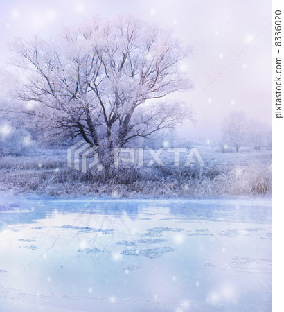 winter magic landscape - snowfall over lake and tree 8336020