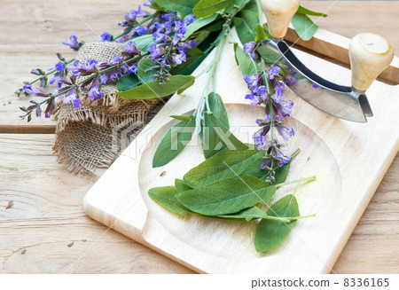 fresh sage leaves and blossoms on wooden cutting board fresh sage leaves and blossoms on wooden cutting board 8336165