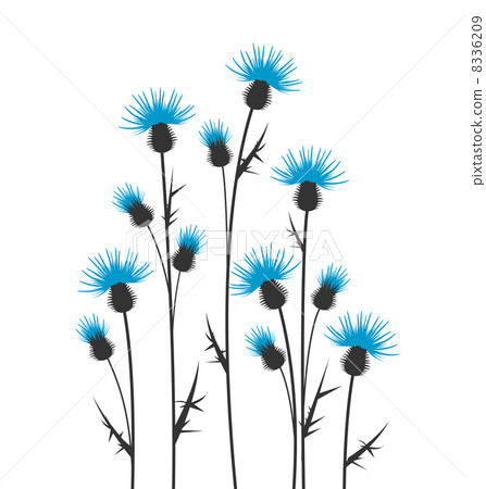 thistles thistles 8336209