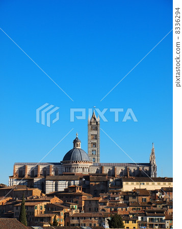 Cathedral in Siena, Italy Cathedral in Siena, Italy 8336294