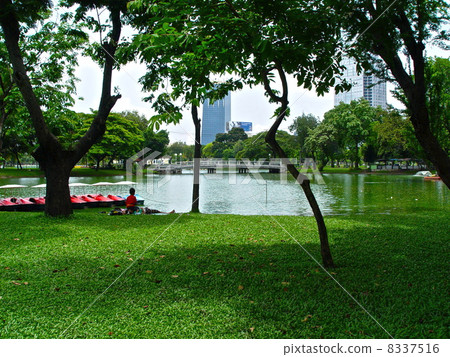 Artificial pond at Lumphini Park (Bangkok / Thailand) 8337516