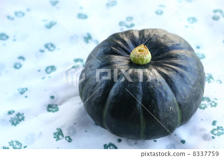 壁球（Botchan Pumpkin） 8337759