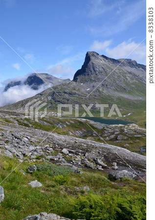 Alpine wetlands above 850 m above Trolsigen 8338103