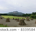 Usuzan 8339584