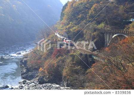Watarase ravine railway 8339836