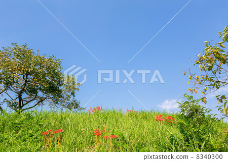 秋天的風景 秋天的風景 8340300