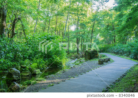 Daisetsu Asahikake source water Daisetsu Asahikake source water 8340846