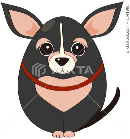 Egg shaped Chihuahuas 8341990