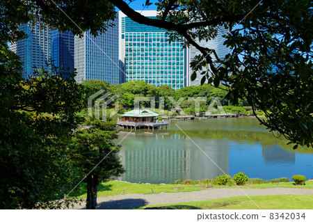 Hama Rikyu Garden and high-rise building streets of Shiodome shining on the lake 8342034