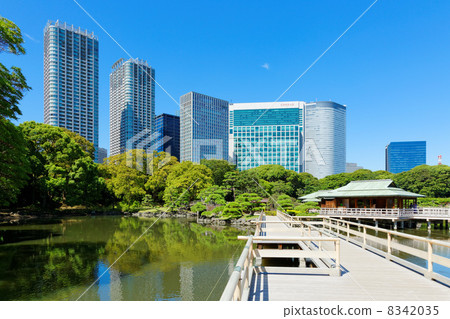 Hama Rikyu Garden and high-rise building streets of Shiodome shining on the lake 8342035