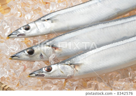 Sanma 8342576