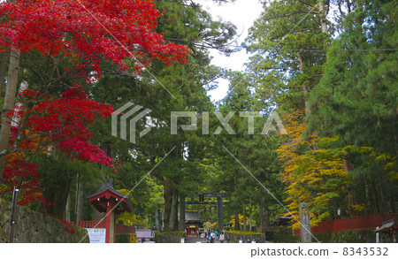 日光東照宮 8343532