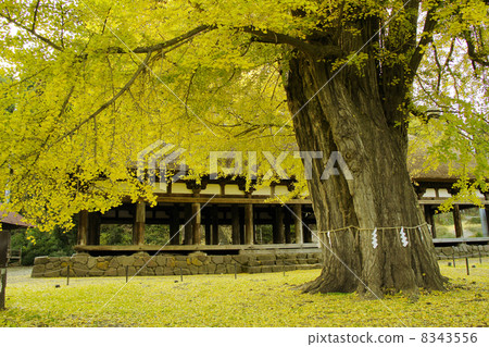 Kitakata Shingu Kumano Shrine Kitakata Shingu Kumano Shrine 8343556
