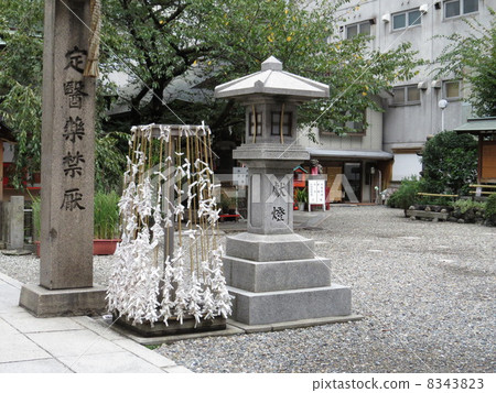 初期天神 8343823