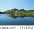 Hakuba-ooi 8343868