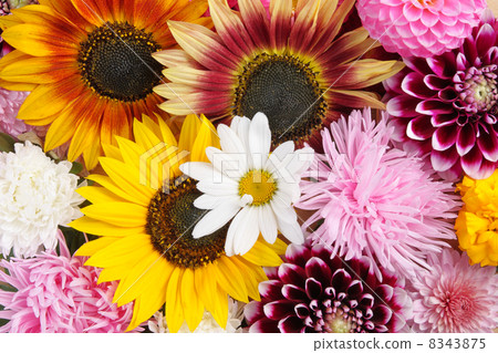 Flowers Flowers 8343875