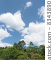 Summer Plateau 7 8343890