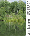 Summer Plateau 5 8343892