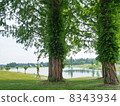 Summer Plateau 1 8343934