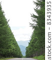 Larch of the summer 2 8343935