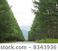 Larch of the summer 1 8343936