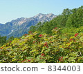 Mount Hakuba 8344003