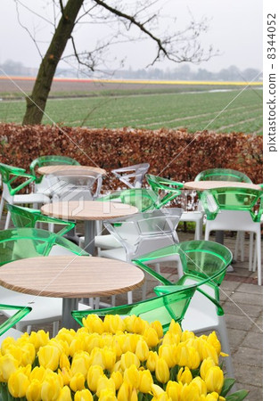 荷蘭庫肯霍夫公園 荷蘭庫肯霍夫公園 8344052