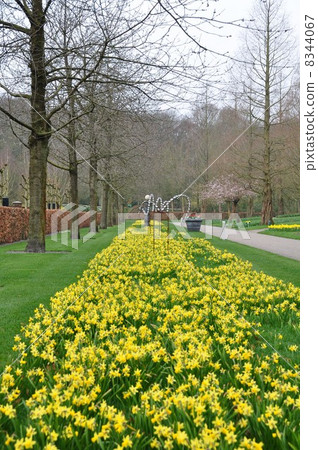 Keukenhof Park Netherlands Keukenhof Park Netherlands 8344067