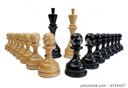 Chessmen 8344487