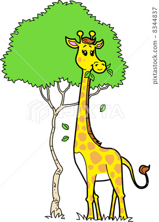 Cute Giraffe Eating Leaves 8344837