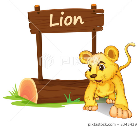 A little lion 8345429