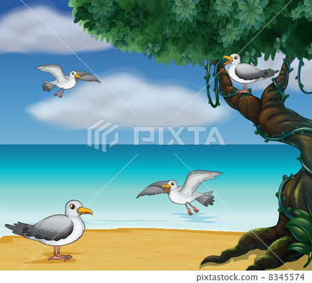 Birds at the seashore Birds at the seashore 8345574