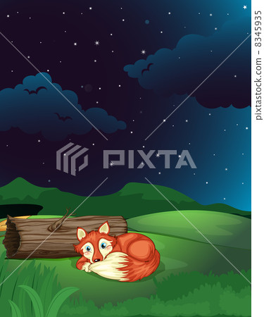 A fox lies next to wood in night 8345935