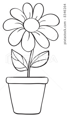 a flower and a pot sketch a flower and a pot sketch 8346164