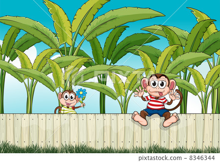 Two monkeys playing at the fence 8346344